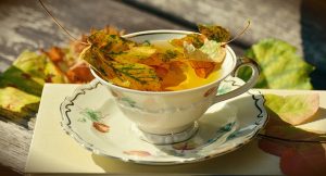 Treffen 50 +/-: "Der Herbst im Wald"